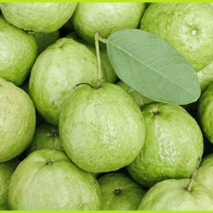 Guava